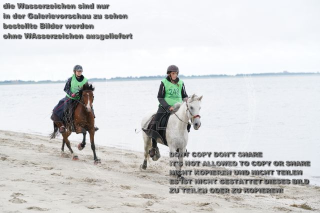 s_K3F04828.JPG